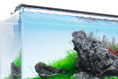 Classicled plus LED Aquarium Light with Timer, 32 Watts, for 48 to 54 Inch Fish Tank Light, Daylight and Moonlight Cycle, Brightness Adjustable