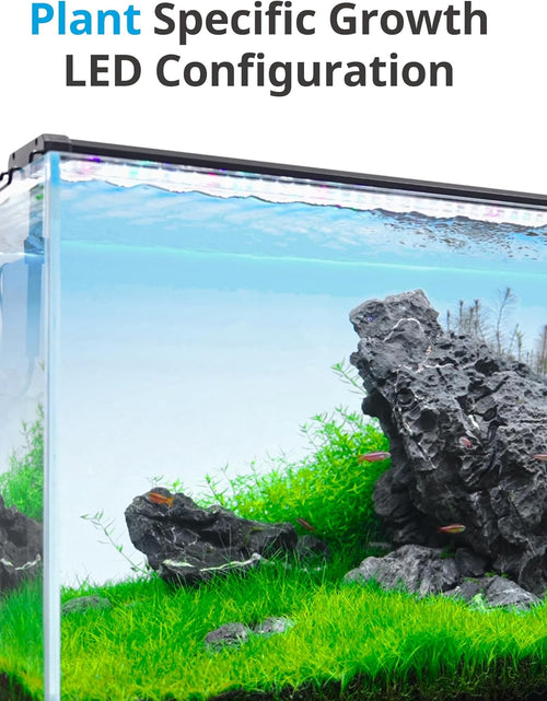 Load image into Gallery viewer, Classicled plus LED Aquarium Light with Timer, 32 Watts, for 48 to 54 Inch Fish Tank Light, Daylight and Moonlight Cycle, Brightness Adjustable
